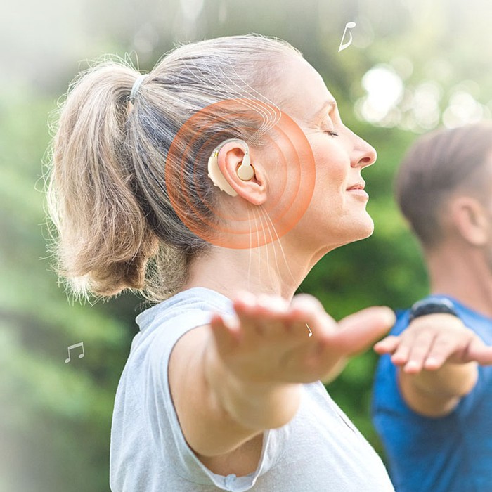 hearing aid hearing aid